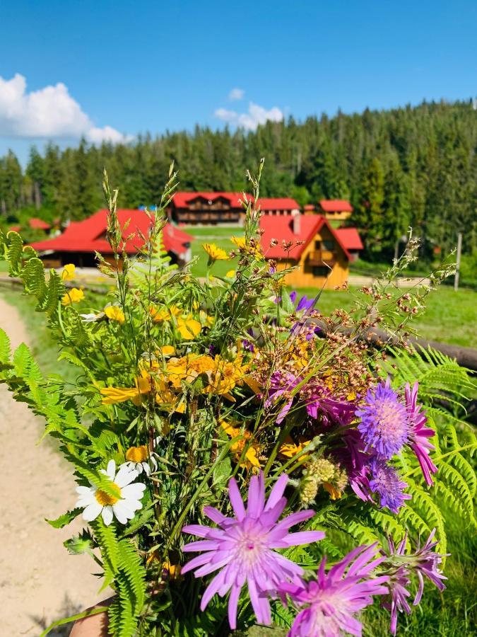 Baza Vidpochynku Ilz Villa Slavske Exterior foto